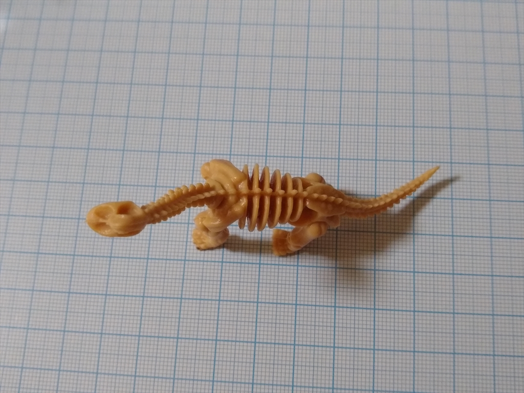カプセルトイ 恐竜の化石ミュージアム ブラキオサウルス（レビュー）の画像６