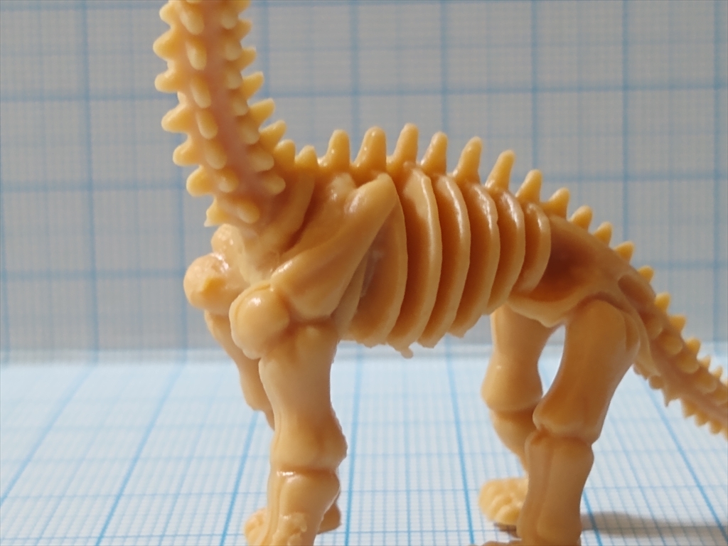 カプセルトイ 恐竜の化石ミュージアム ブラキオサウルス（レビュー）の画像