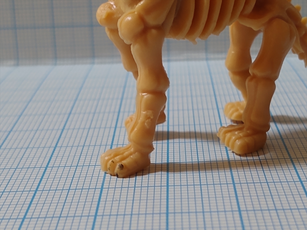 カプセルトイ 恐竜の化石ミュージアム ブラキオサウルス（レビュー）の画像
