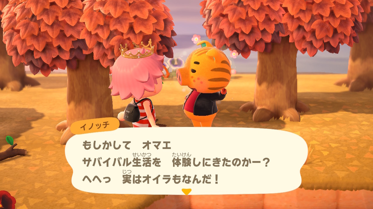 あつまれどうぶつの森 マイル旅行券を使った件で‥その5の画像