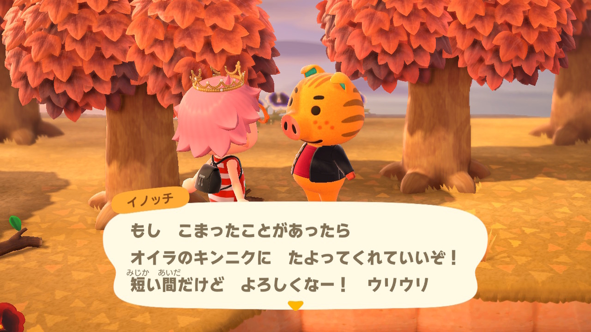 あつまれどうぶつの森 マイル旅行券を使った件で‥その5の画像