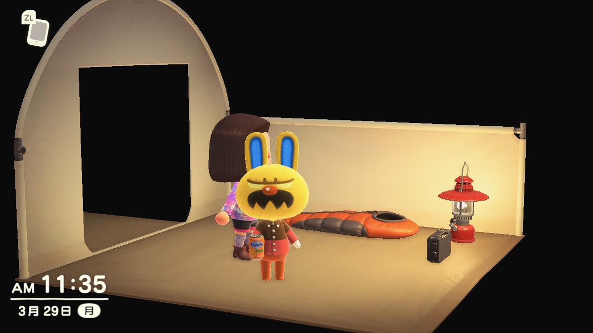 ニンテンドースイッチ あつまれ どうぶつの森 住人（モサキチ） - ぬー