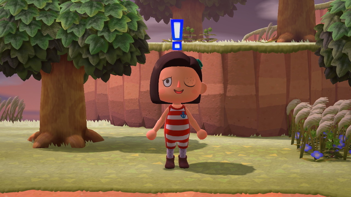 ニンテンドースイッチ あつまれ どうぶつの森 住人（フララ）の画像