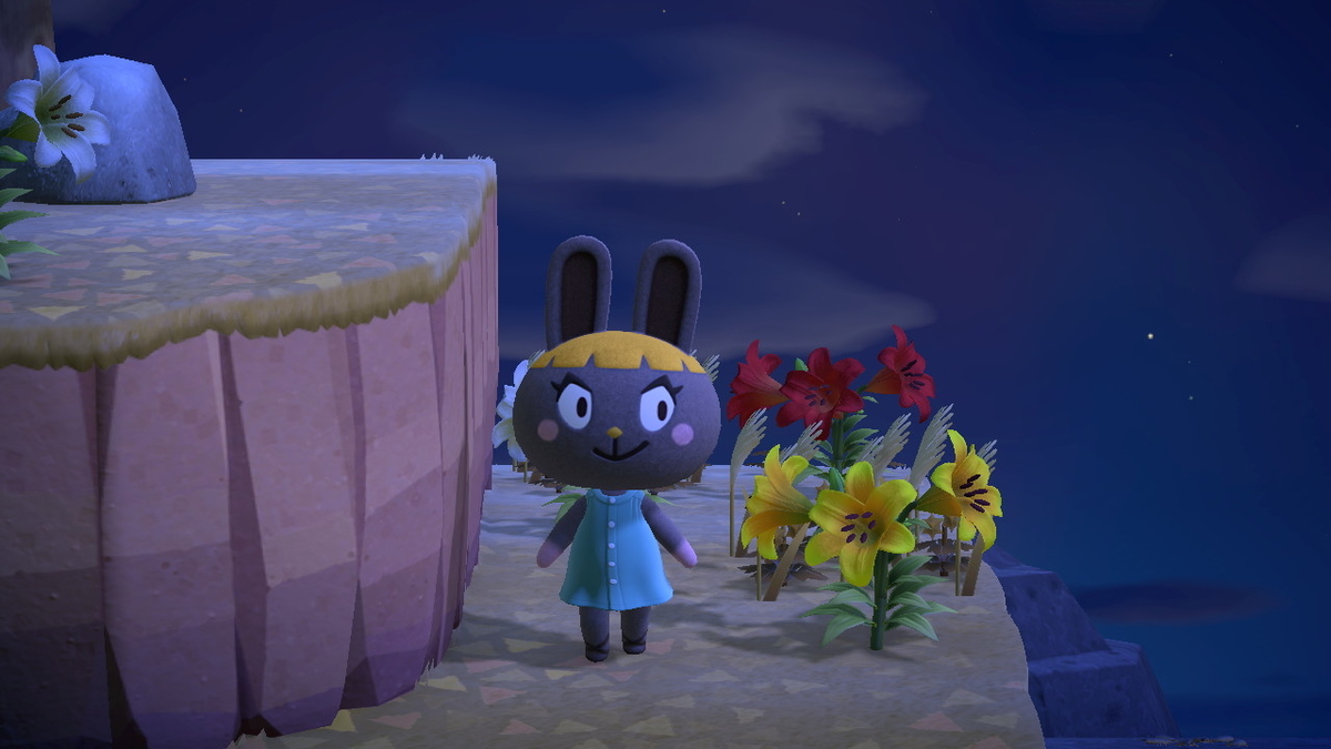 あつまれどうぶつの森 マイル旅行券を使った件で‥その６。ついに新しい仲間をみつけた！の画像