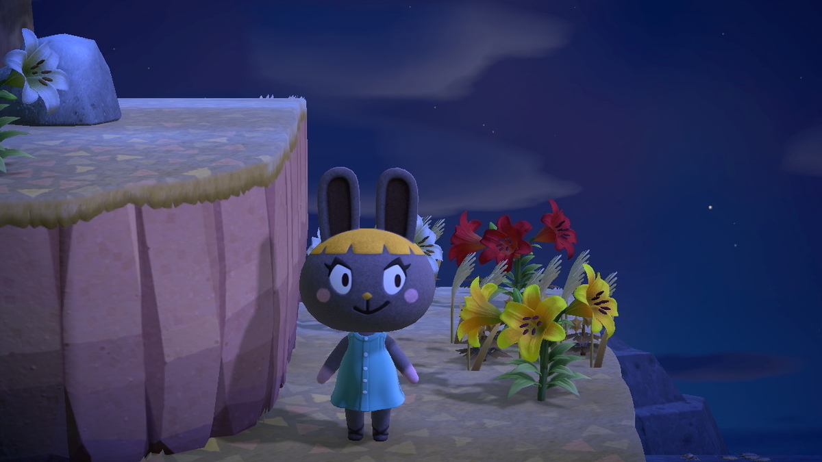 あつまれどうぶつの森 マイル旅行券を使った件で‥その６。ついに新しい仲間をみつけた！の画像