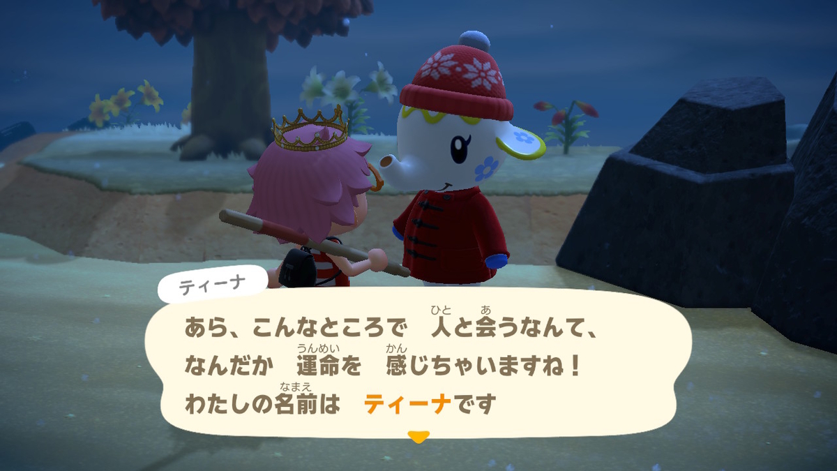 あつまれどうぶつの森 マイル旅行券を使った件で‥その６。ついに新しい仲間をみつけた！の画像