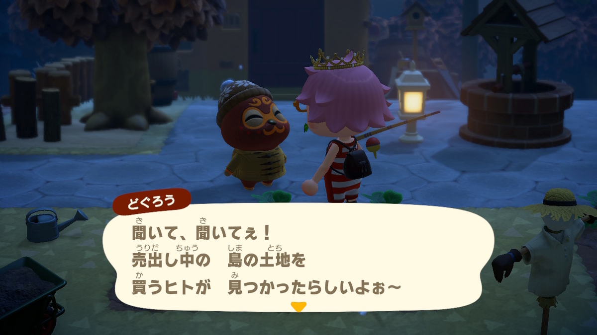 あつまれどうぶつの森 マイル旅行券を使った件で‥その６。ついに新しい仲間をみつけた！の画像