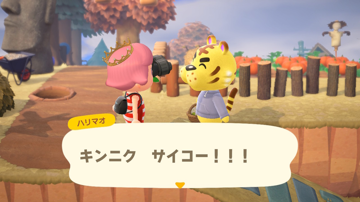 ニンテンドースイッチ あつまれ どうぶつの森 住人(ティーナ)の画像