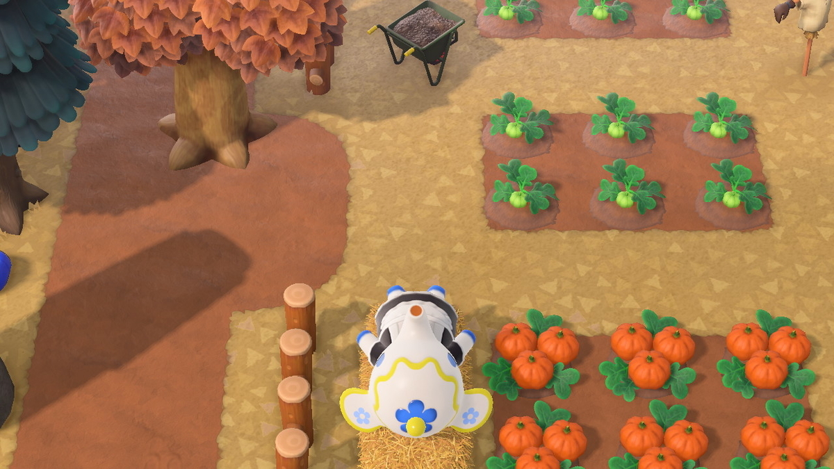 ニンテンドースイッチ あつまれ どうぶつの森 住人(ティーナ)の画像