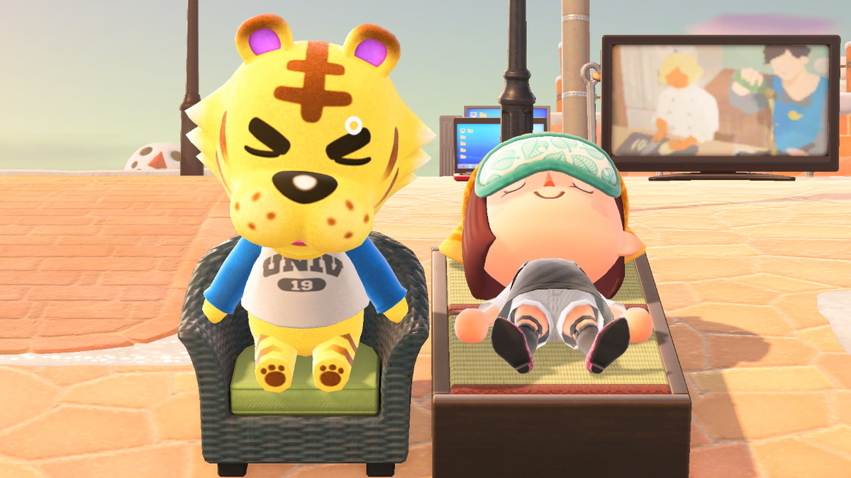 ニンテンドースイッチ あつまれどうぶつの森 擬人化カメヤマさんの画像