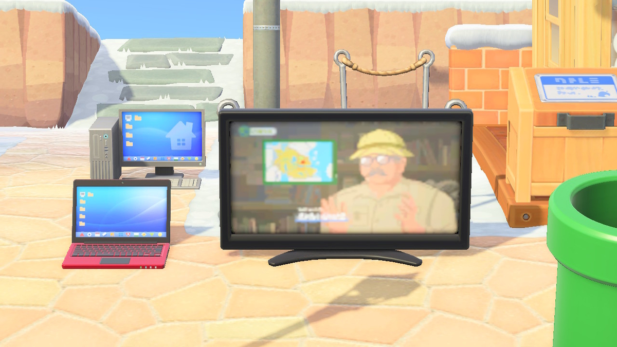 ニンテンドースイッチ あつまれどうぶつの森 擬人化カメヤマさんの画像