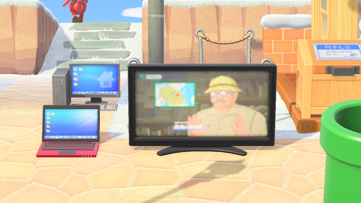 ニンテンドースイッチ あつまれどうぶつの森 擬人化カメヤマさんの画像