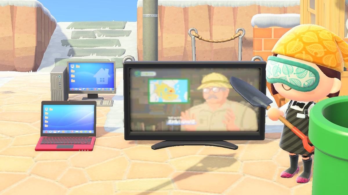 ニンテンドースイッチ あつまれどうぶつの森 擬人化カメヤマさんの画像