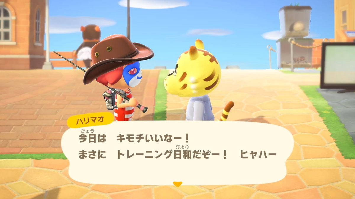 ニンテンドースイッチ あつまれ どうぶつの森 住人達(モサキチ・ハリマオ・ティーナさん)の画像2