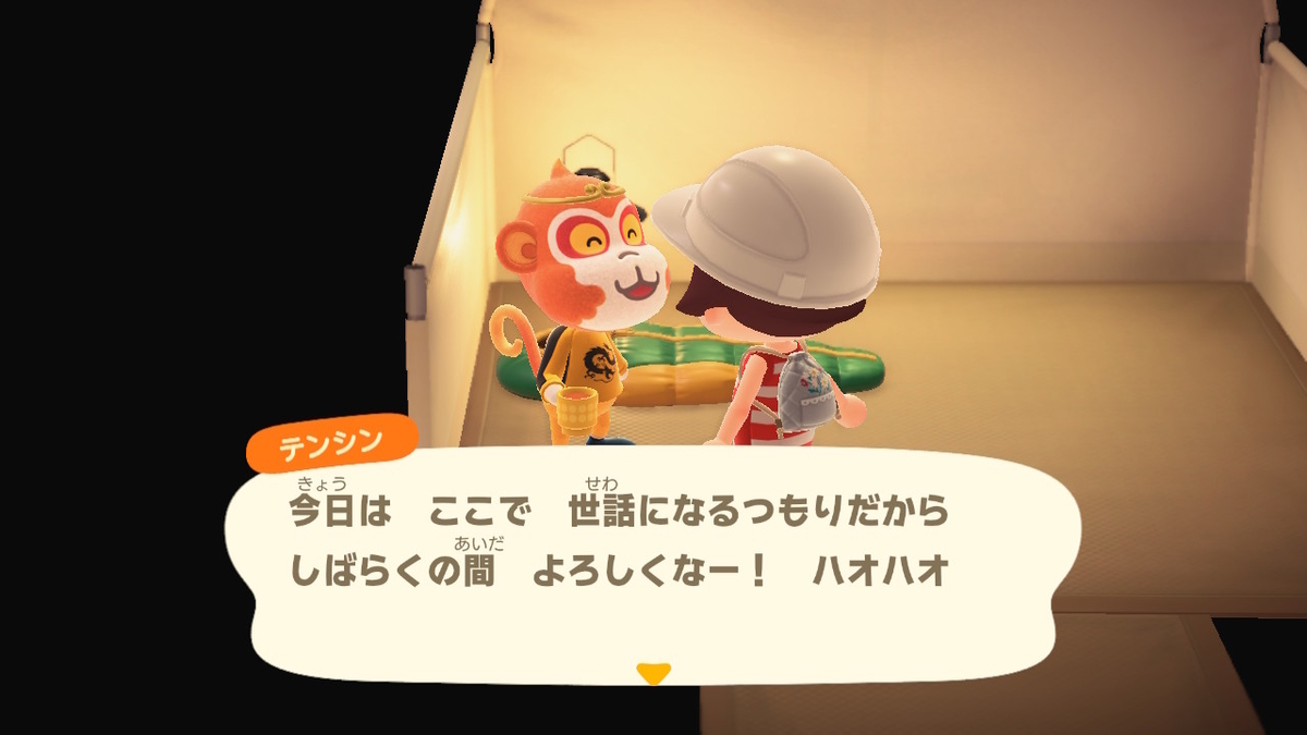 ニンテンドースイッチ あつまれどうぶつの森 Ver.2.0.0 キャンプ場の画像２