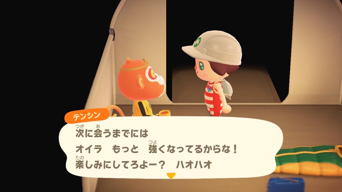 ニンテンドースイッチ あつまれどうぶつの森 Ver.2.0.0 キャンプ場の画像