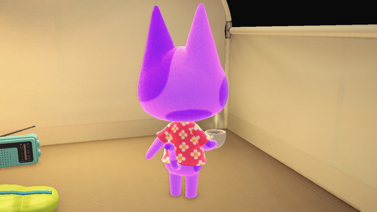 ニンテンドースイッチ あつまれどうぶつの森 Ver.2.0.0 キャンプ場の画像
