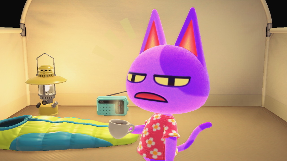 ニンテンドースイッチ あつまれどうぶつの森 Ver.2.0.0 キャンプ場の画像