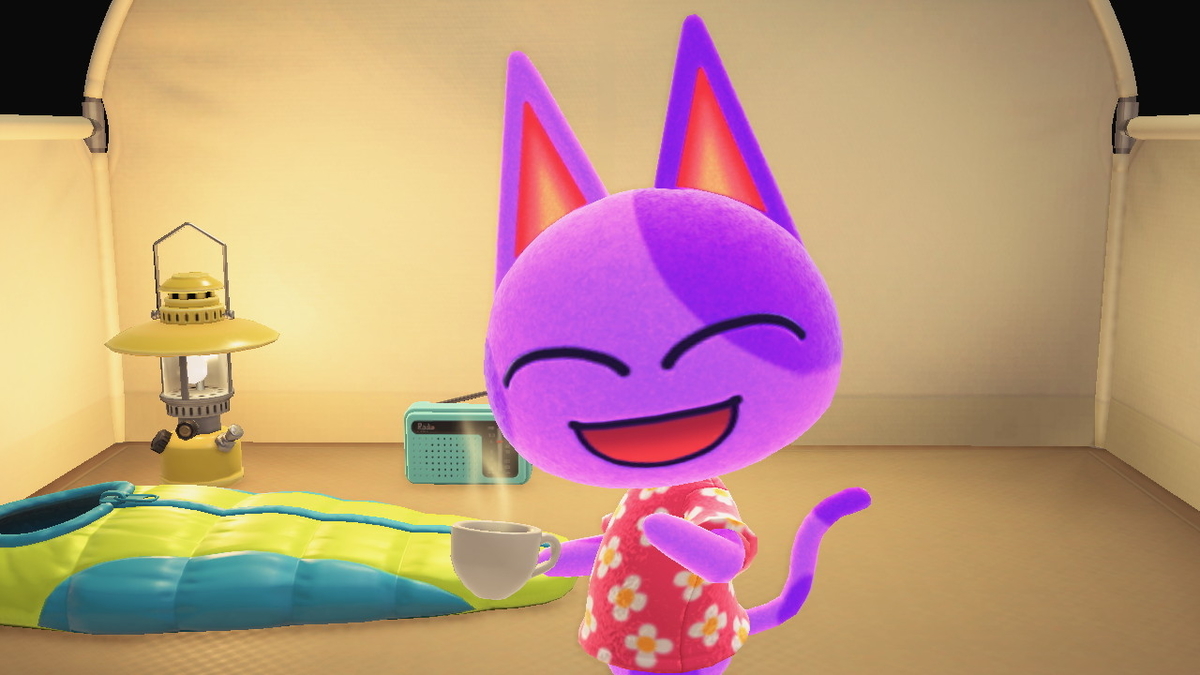 ニンテンドースイッチ あつまれどうぶつの森 Ver.2.0.0 キャンプ場の画像