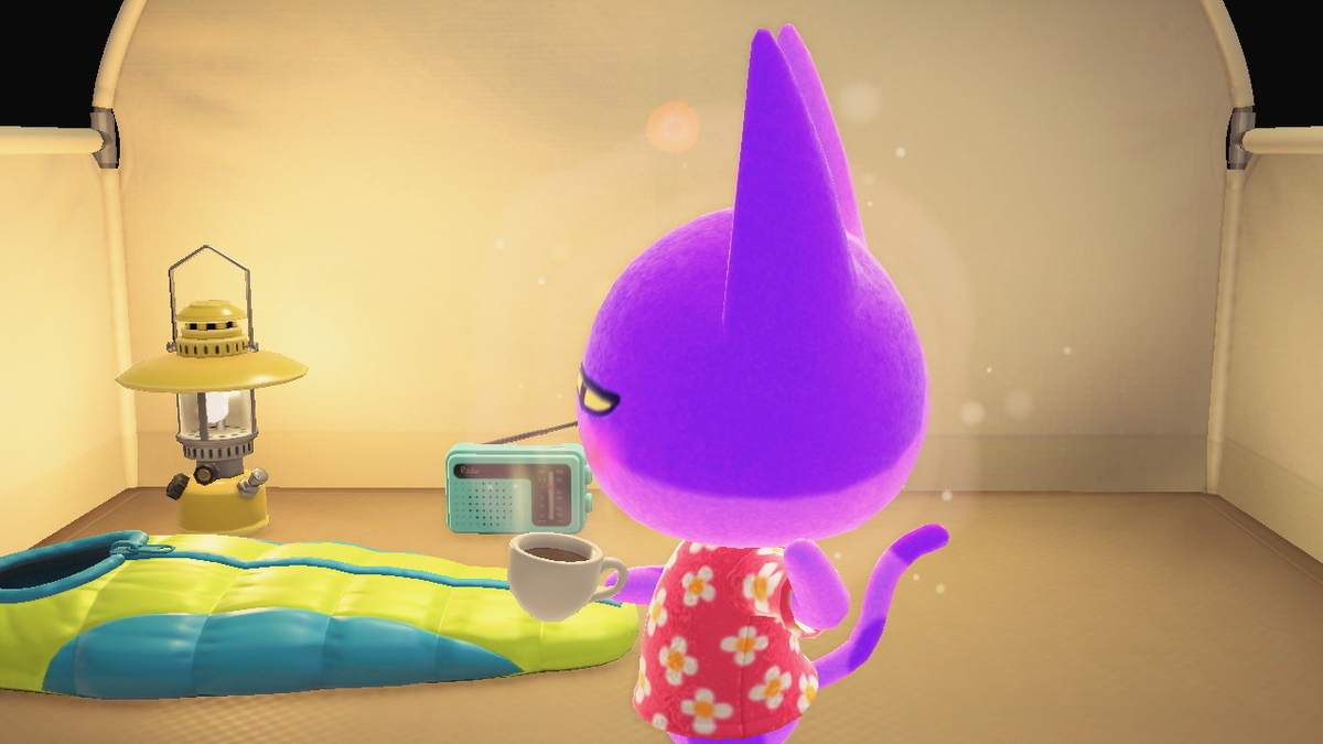 ニンテンドースイッチ あつまれどうぶつの森 Ver.2.0.0 キャンプ場の画像