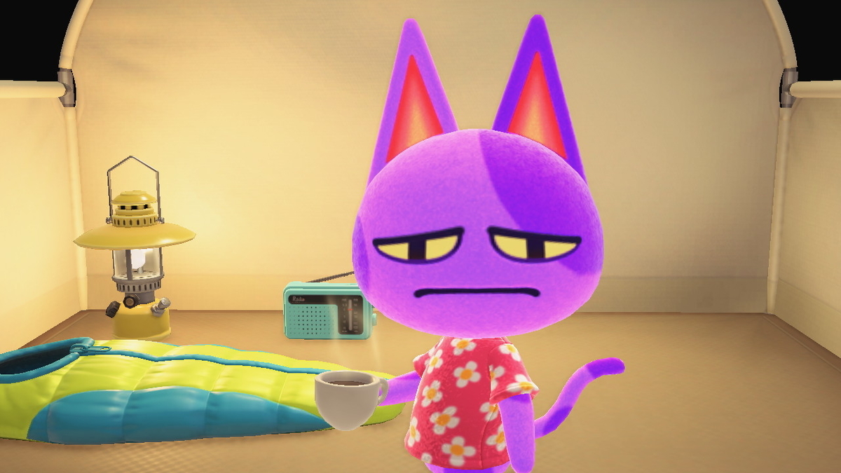 ニンテンドースイッチ あつまれどうぶつの森 Ver.2.0.0 キャンプ場の画像