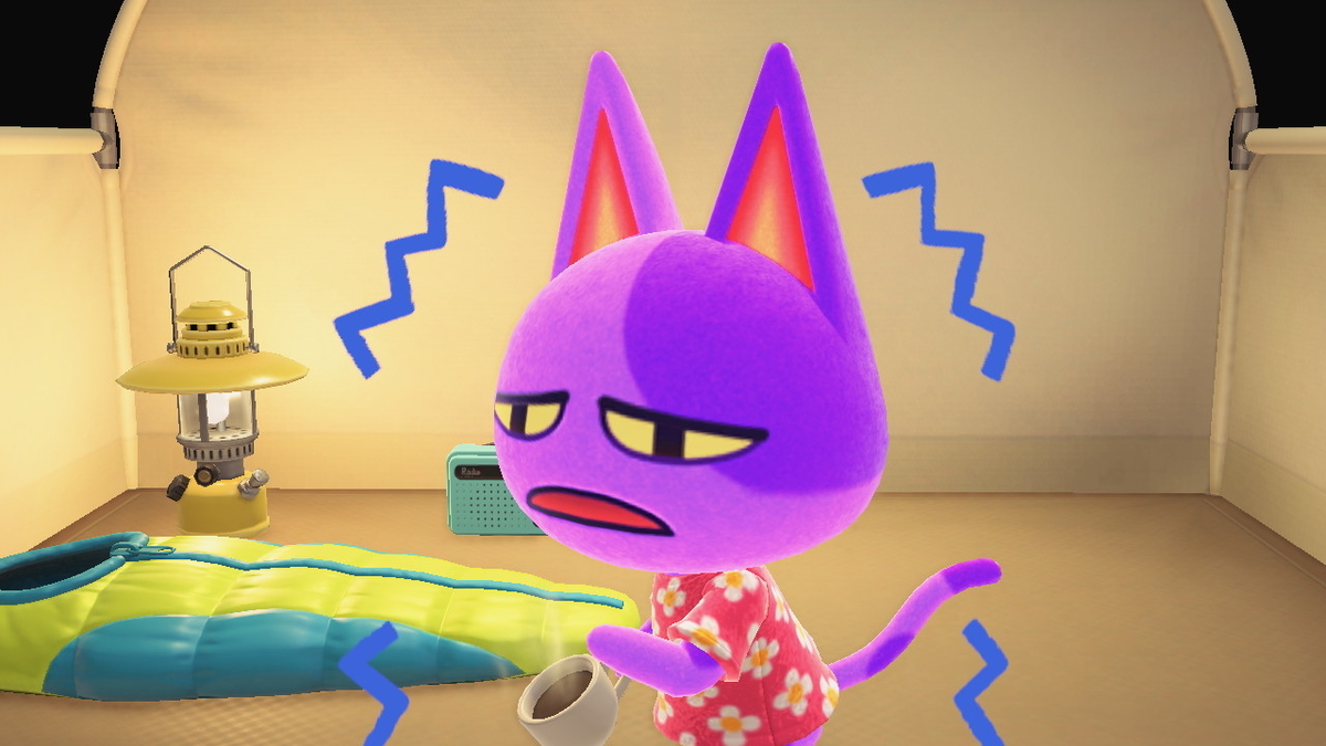 ニンテンドースイッチ あつまれどうぶつの森 Ver.2.0.0 キャンプ場の画像