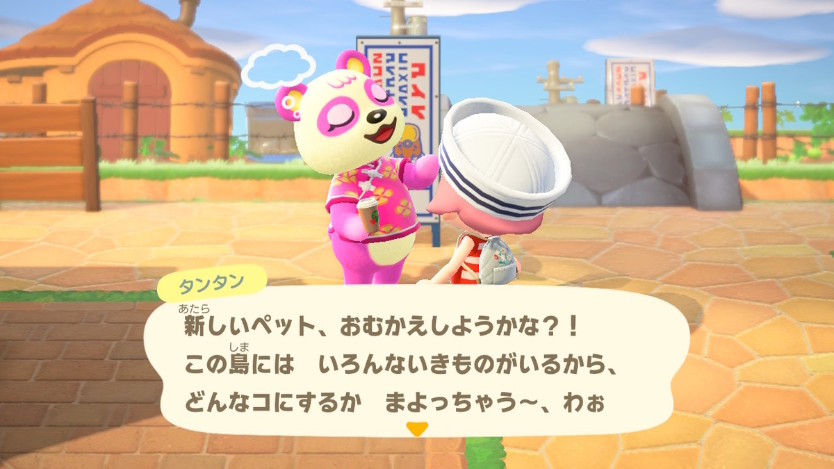 ニンテンドースイッチ あつまれ どうぶつの森 住人の謎の会話(タンタンとティーナさん)の画像