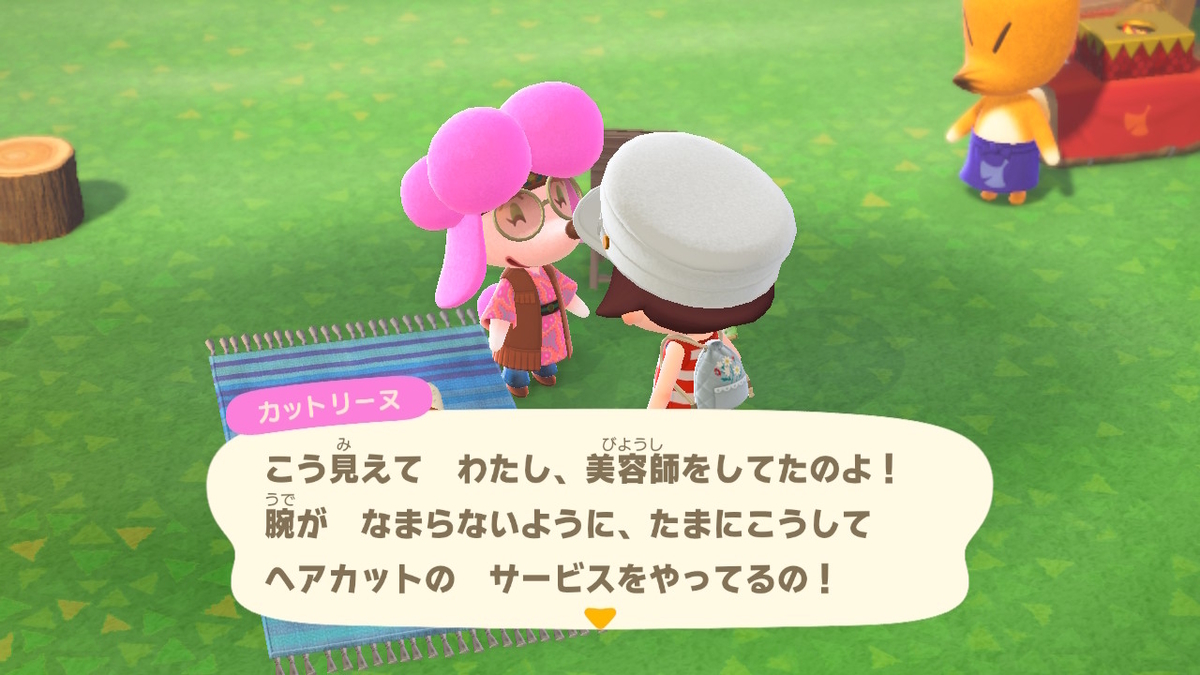 ニンテンドースイッチ あつまれどうぶつの森Ver2.0.3 ヘアーサロン カットリーヌの画像