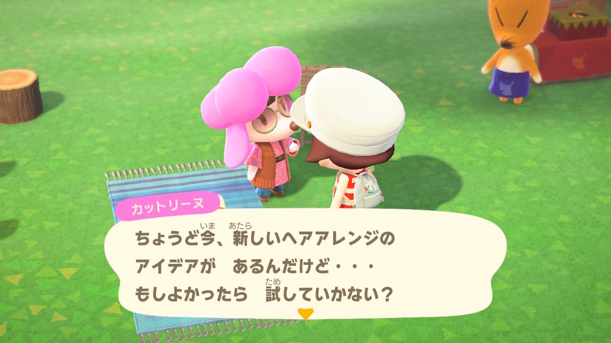 ニンテンドースイッチ あつまれどうぶつの森Ver2.0.3 ヘアーサロン カットリーヌの画像