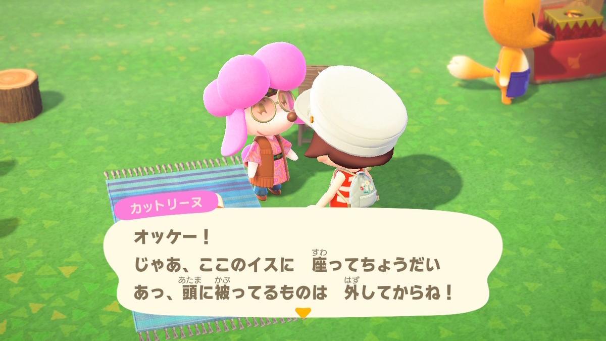 ニンテンドースイッチ あつまれどうぶつの森Ver2.0.3 ヘアーサロン カットリーヌの画像