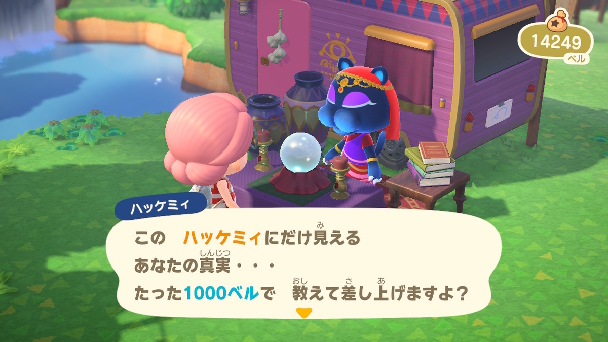 ニンテンドースイッチ あつまれどうぶつの森Ver2.0.3 ハッケミィの画像