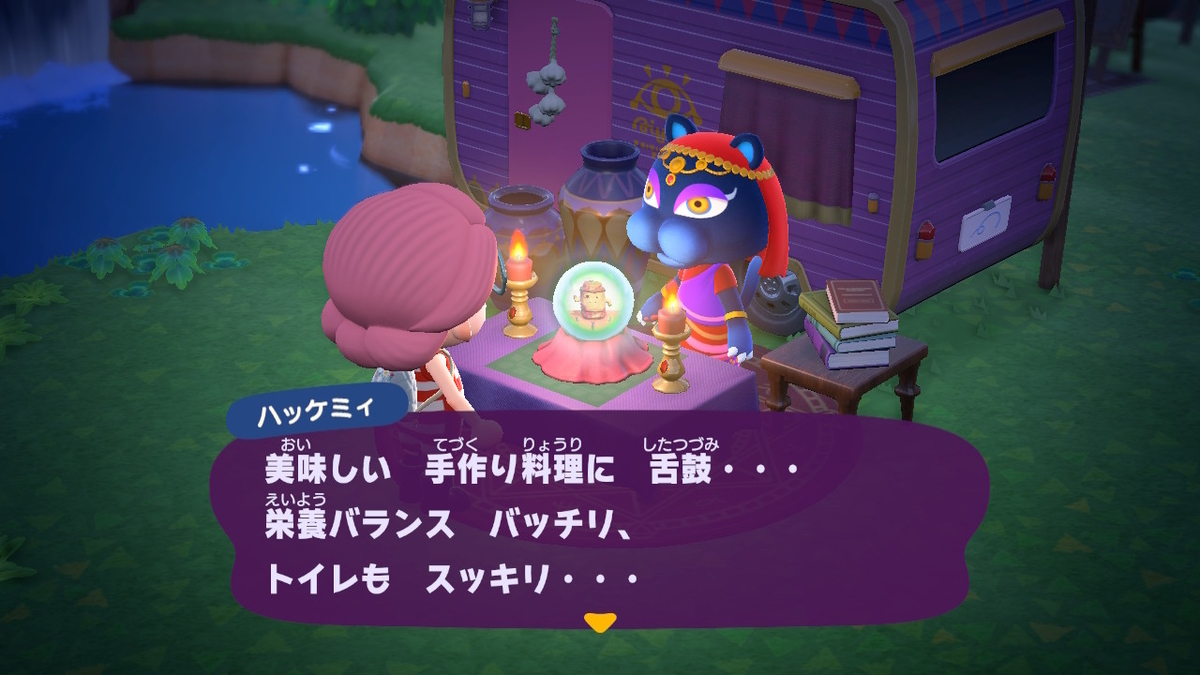 ニンテンドースイッチ あつまれどうぶつの森Ver2.0.3 ハッケミィの画像
