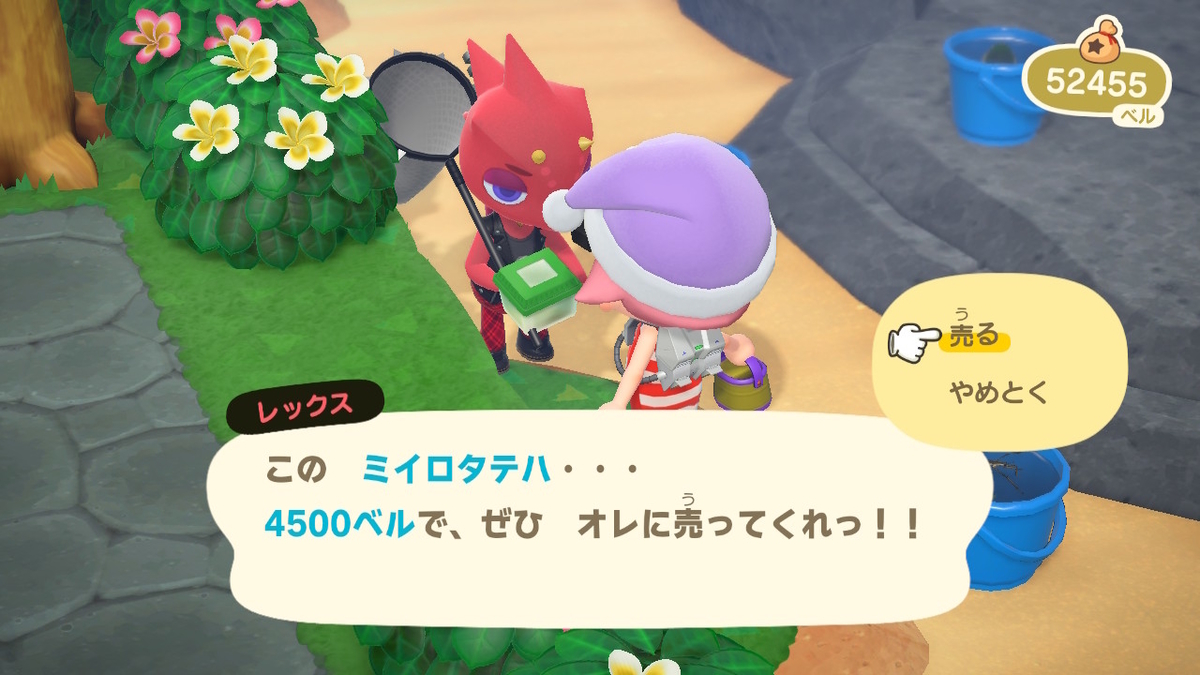 ニンテンドースイッチ あつまれどうぶつの森Ver2.0.3 虫取り大会　レックスの画像