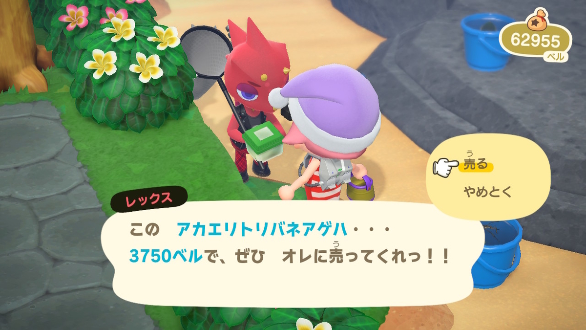 ニンテンドースイッチ あつまれどうぶつの森Ver2.0.3 虫取り大会　レックスの画像