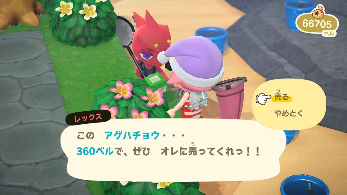 ニンテンドースイッチ あつまれどうぶつの森Ver2.0.3 虫取り大会　レックスの画像