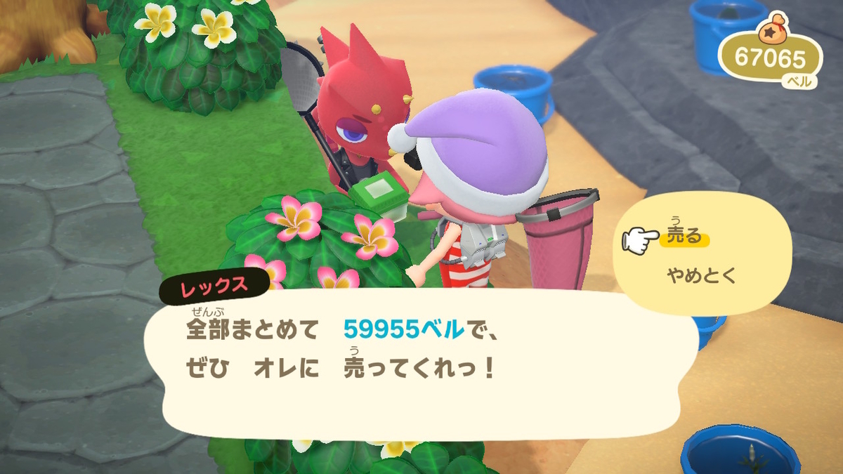 ニンテンドースイッチ あつまれどうぶつの森Ver2.0.3 虫取り大会　レックスの画像