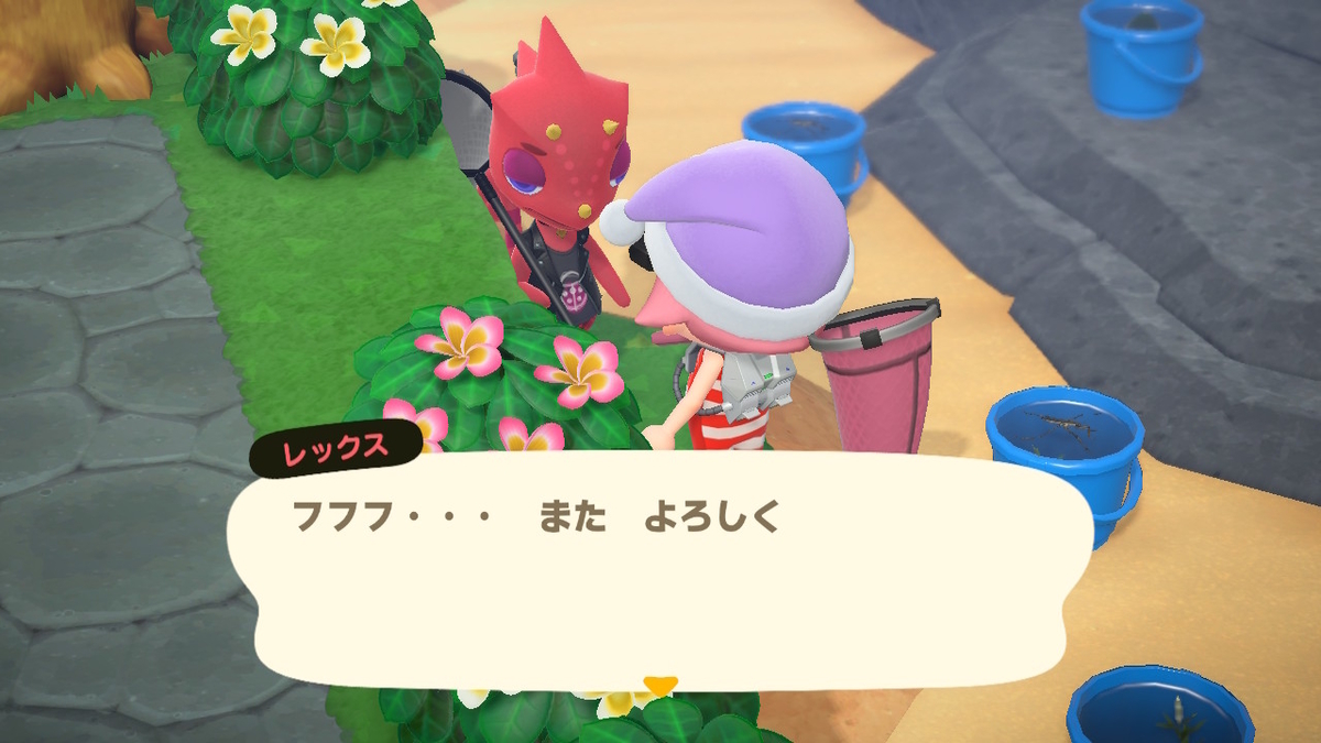 ニンテンドースイッチ あつまれどうぶつの森Ver2.0.3 虫取り大会　レックスの画像
