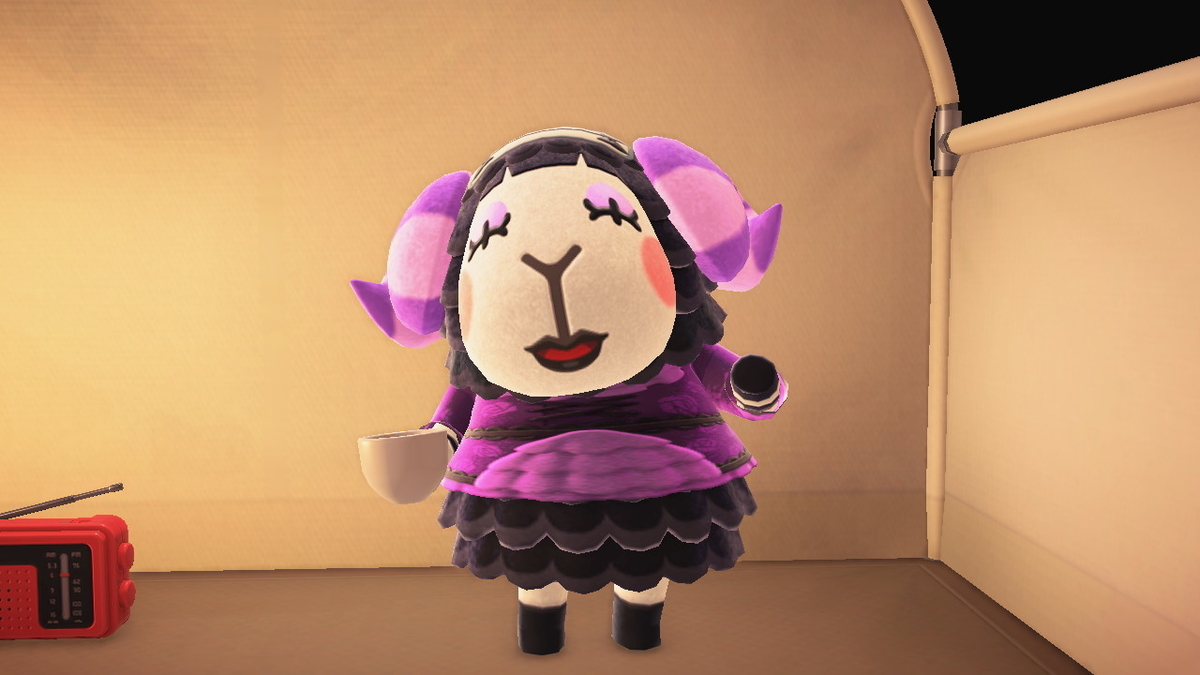 ニンテンドースイッチ あつまれどうぶつの森 Ver.2.0.4 キャンプ場 5