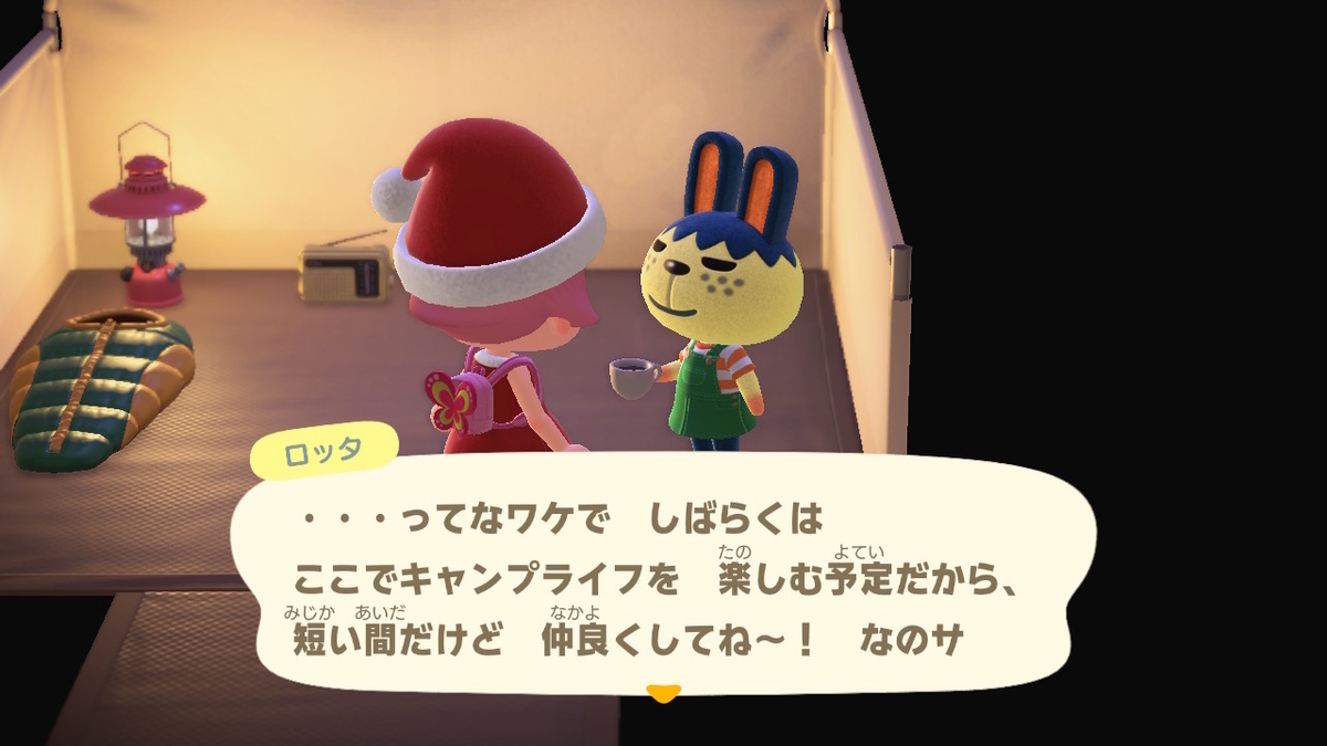 ニンテンドースイッチ あつまれどうぶつの森 Ver.2.0.4 キャンプ場 6回目の画像