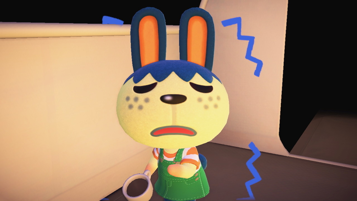 ニンテンドースイッチ あつまれどうぶつの森 Ver.2.0.4 キャンプ場 6回目の画像