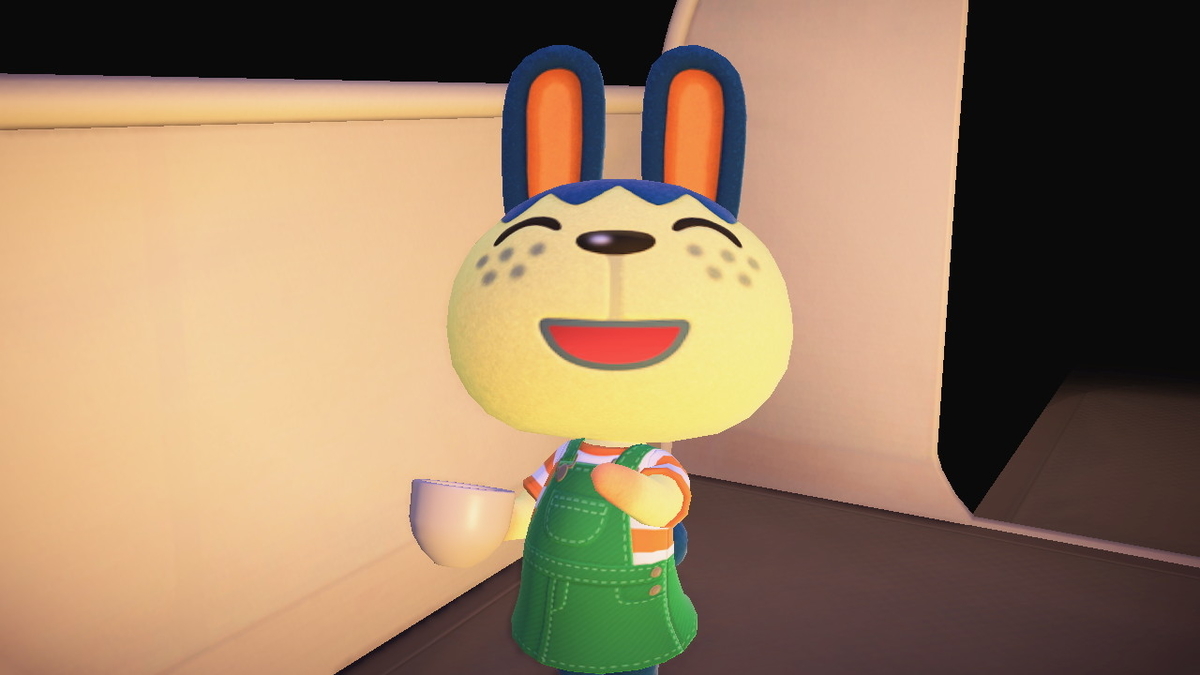 ニンテンドースイッチ あつまれどうぶつの森 Ver.2.0.4 キャンプ場 6回目の画像１