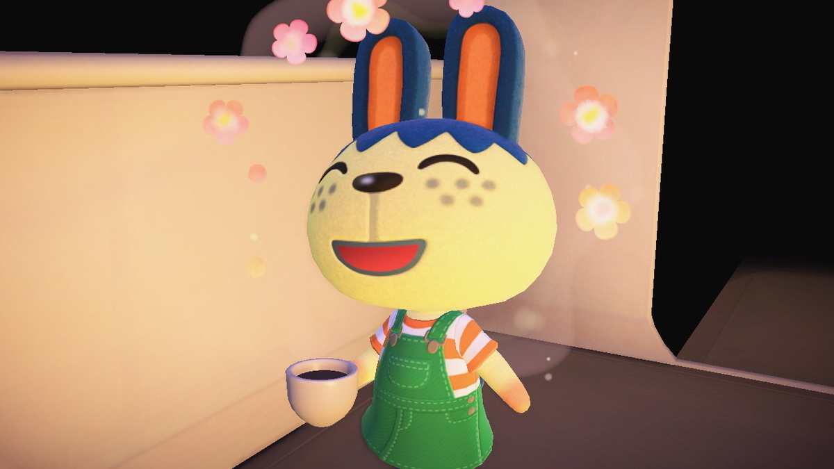 ニンテンドースイッチ あつまれどうぶつの森 Ver.2.0.4 キャンプ場 6回目の画像