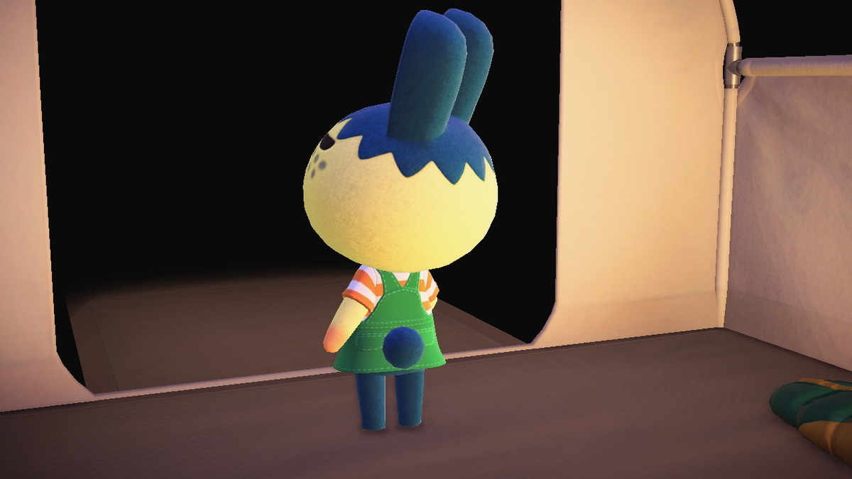 ニンテンドースイッチ あつまれどうぶつの森 Ver.2.0.4 キャンプ場 6回目の画像３