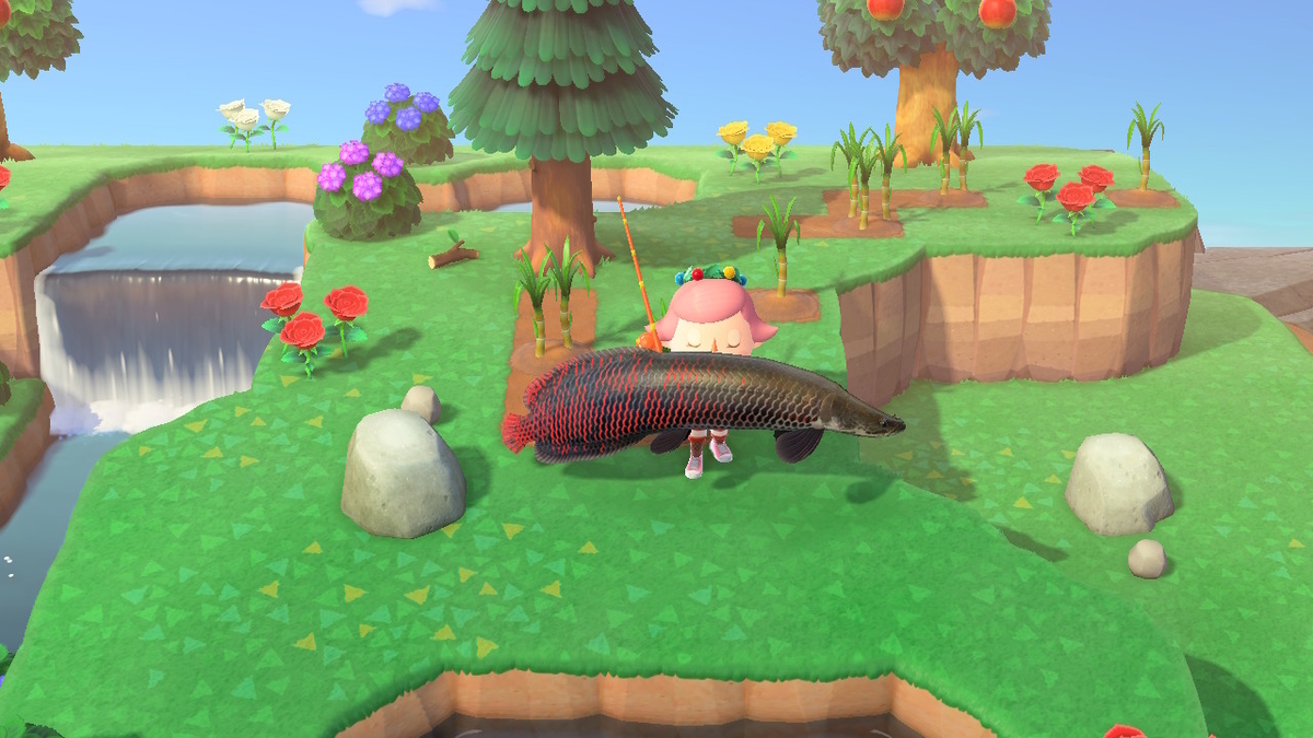 ニンテンドースイッチ あつまれどうぶつの森 Ver.2.0.4 釣り大会 参加中に島から脱走してみた!の画像