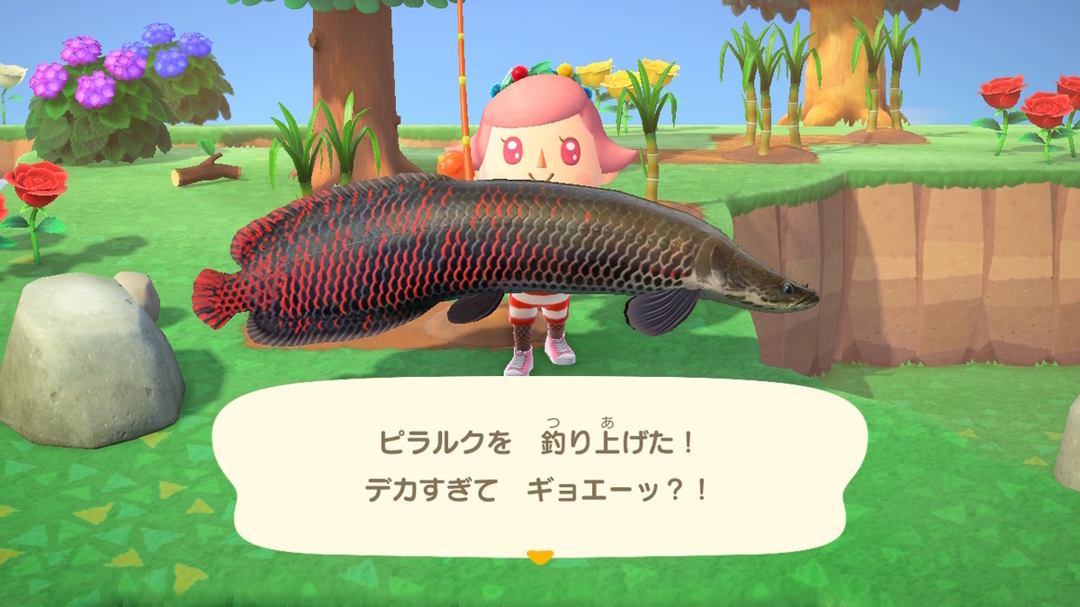 ニンテンドースイッチ あつまれどうぶつの森 Ver.2.0.4 釣り大会 参加中に島から脱走してみた!の画像