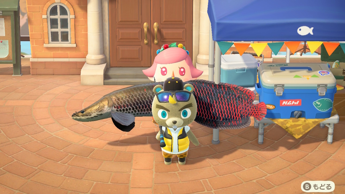 ニンテンドースイッチ あつまれどうぶつの森 Ver.2.0.4 釣り大会 参加中に島から脱走してみた!の画像