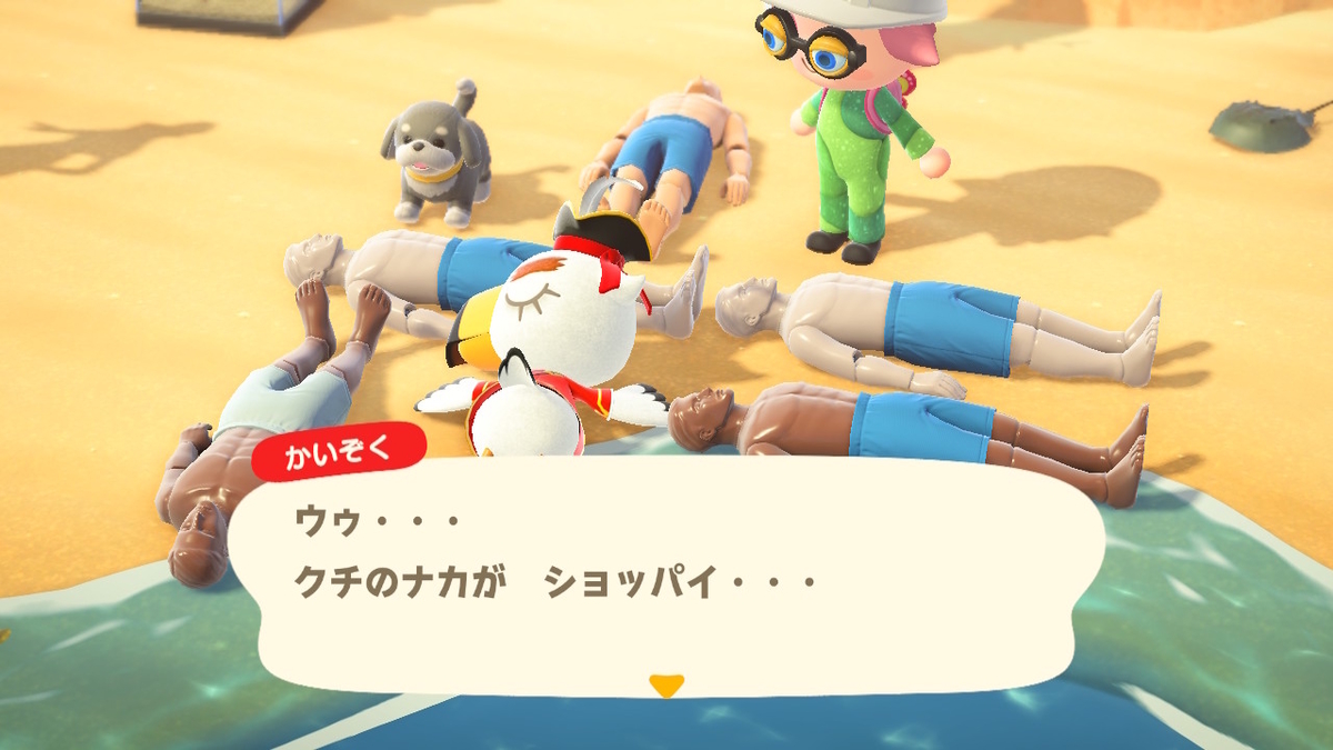 ニンテンドースイッチ あつまれどうぶつの森 かいぞくとコブンたちの画像