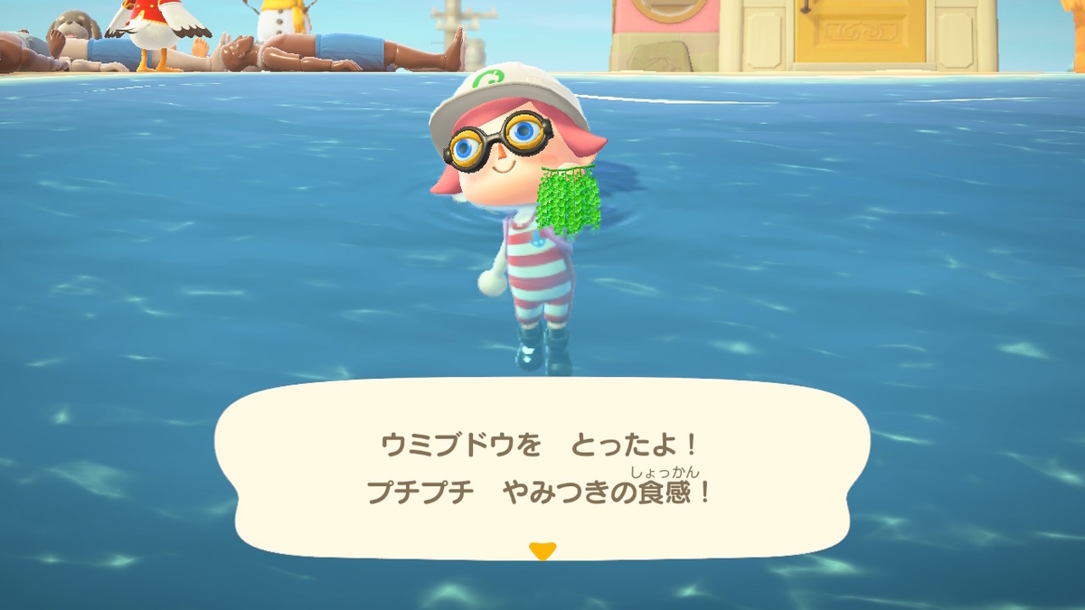 ニンテンドースイッチ あつまれどうぶつの森 かいぞくとコブンたちの画像