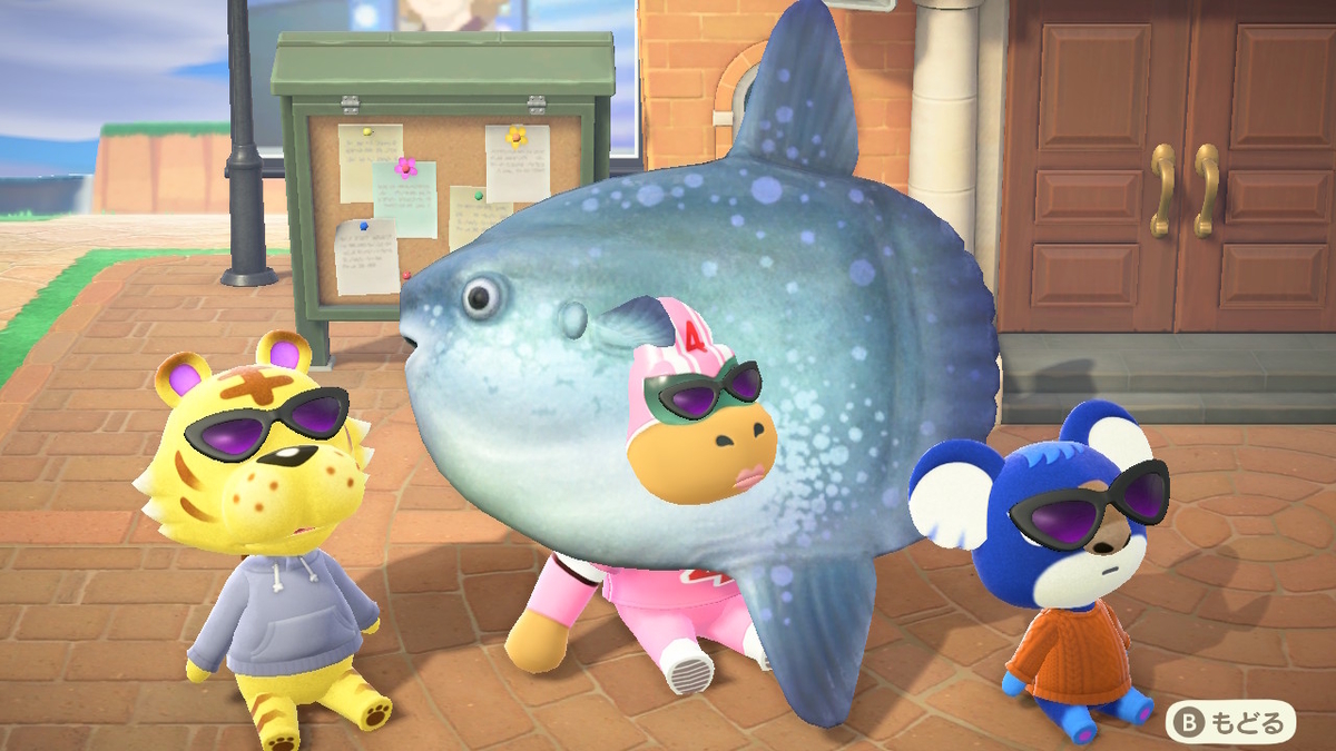 ニンテンドースイッチ あつまれどうぶつの森 Ver.2.0.4 のんびり日向ぼっこした件で1の画像3