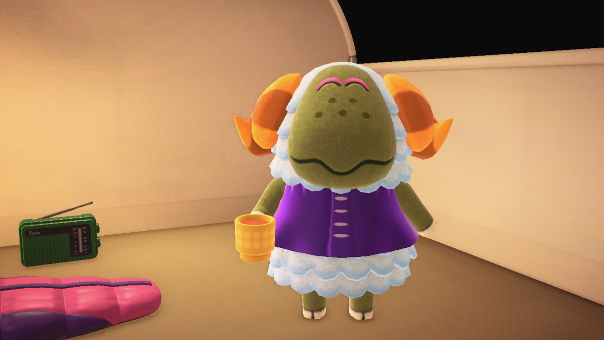 ニンテンドースイッチ あつまれどうぶつの森 Ver.2.0.5 キャンプ場 8回目の画像